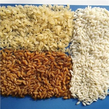 Plantas para fazer arroz artificial fortificado personalizado